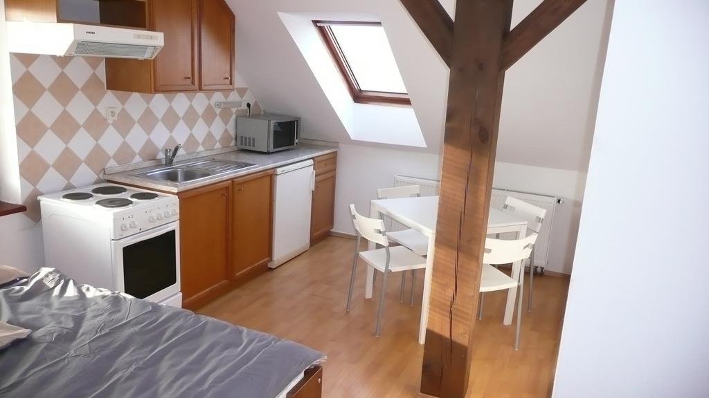 Apartments U Cara Ceske Budejovice Kamer foto